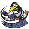 <span class="mw-page-title-main">HK Beostar</span> Ice hockey team in Belgrade