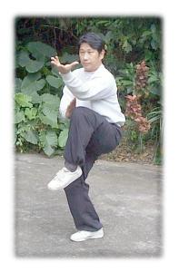 <span class="mw-page-title-main">Luo Dexiu</span> Taiwanese martial artist (born 1956)