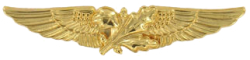 File:NASO(gold).jpg