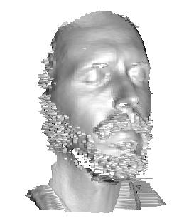File:Salix alba 3D scan.jpg