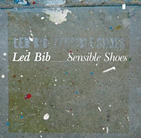 <i>Sensible Shoes</i> 2009 studio album by Led Bib