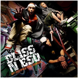 Up Jumped the Boogie 2006 single by Bliss n Eso