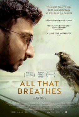 Breathe In (film) - Wikipedia