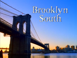 <i>Brooklyn South</i> Television series