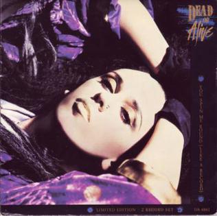 You Spin Me Round (Like a Record) [Metro 7 Edit] – Song by Dead or Alive –  Apple Music