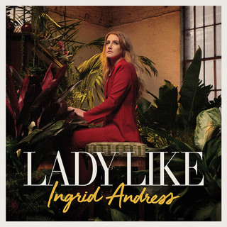 <span class="mw-page-title-main">Lady Like (song)</span> 2020 single by Ingrid Andress