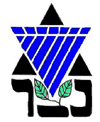 <span class="mw-page-title-main">Netzer Olami</span> Reform Judaism youth organization