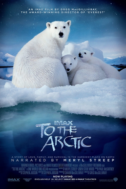 Arctic (film) - Wikipedia