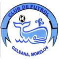 File:Galeanafc.jpg