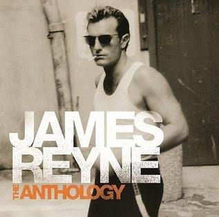 <i>The Anthology</i> (James Reyne album) album by James Reyne