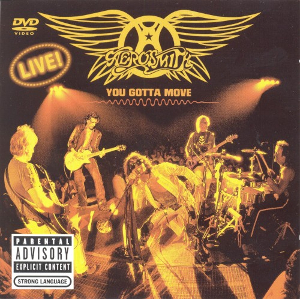 <i>You Gotta Move</i> (video) 2004 video by Aerosmith