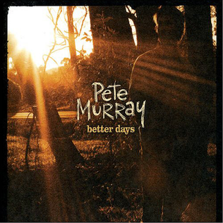 <span class="mw-page-title-main">Better Days (Pete Murray song)</span> 2005 single by Pete Murray