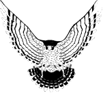 File:Faith Bible Falcons.png