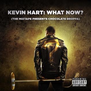 File:Kevin Hart What Now Album.jpeg