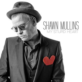 <i>My Stupid Heart</i> 2015 studio album by Shawn Mullins