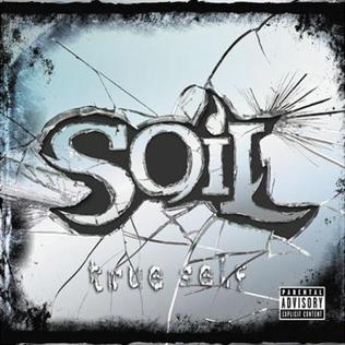 <i>True Self</i> 2006 studio album by SOiL