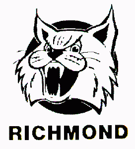 <span class="mw-page-title-main">Richmond Wildcats</span> American minor league professional ice hockey team (1976–77)