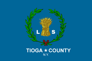 File:Tioga County, NY Flag.gif
