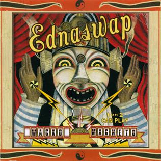 <i>Wacko Magneto</i> 1997 studio album by Ednaswap