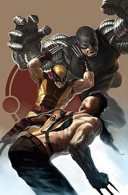 Wolverine15.jpg