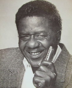 File:American blues harmonica player Willie Cobbs.png