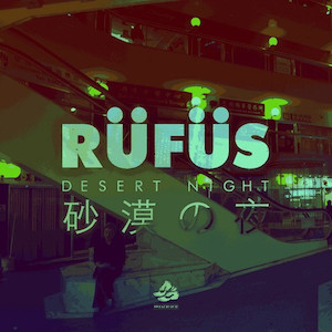 Desert Night 2013 single by Rüfüs