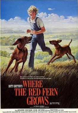 where the red fern grows billy physical description