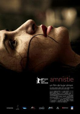 Amnesty (2011 film)