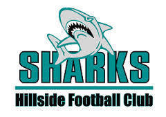 <span class="mw-page-title-main">Hillside Football Club</span> Australian rules football club