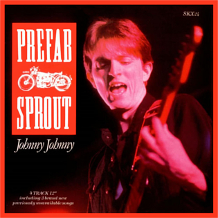 <span class="mw-page-title-main">Goodbye Lucille Number 1</span> 1986 song by Prefab Sprout