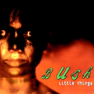 <span class="mw-page-title-main">Little Things (Bush song)</span> 1995 single by Bush