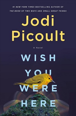 <i>Wish You Were Here</i> (Picoult novel) 2021 novel by Jodi Picoult