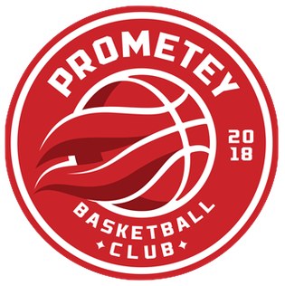 <span class="mw-page-title-main">BC Prometey</span> Ukrainian basketball club