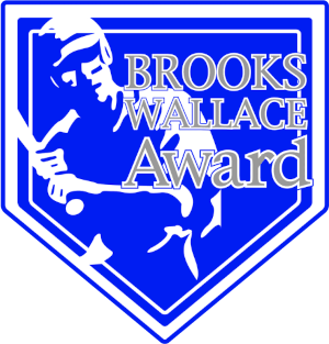 <span class="mw-page-title-main">Brooks Wallace Award</span>