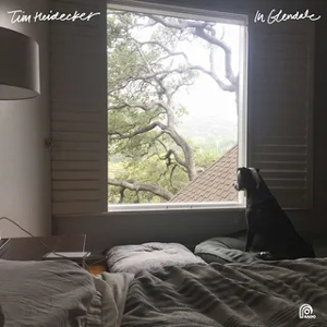 <i>In Glendale</i> 2016 studio album by Tim Heidecker