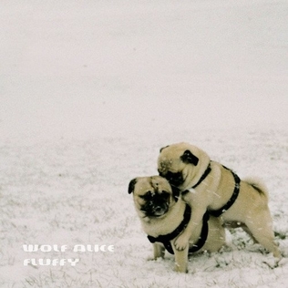 <span class="mw-page-title-main">Fluffy (song)</span> 2013 single by Wolf Alice