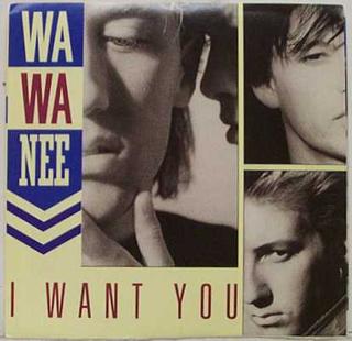 I Want You (Wa Wa Nee song) 1989 single by Wa Wa Nee