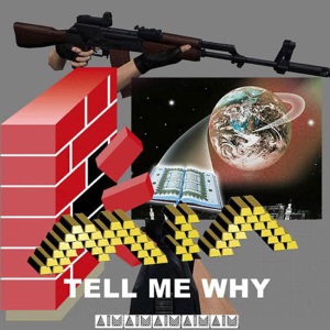 <span class="mw-page-title-main">Tell Me Why (M.I.A. song)</span> 2010 single by M.I.A.