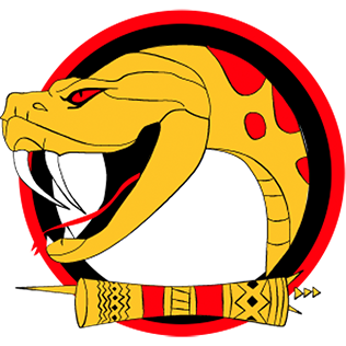 Port Moresby Vipers PNG rugby league club