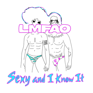 <span class="mw-page-title-main">Sexy and I Know It</span> 2011 song by LMFAO