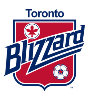 <span class="mw-page-title-main">Toronto Azzurri Blizzard</span> Canadian soccer team