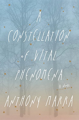 <i>A Constellation of Vital Phenomena</i> 2013 novel by Anthony Marra