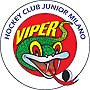 Milano Vipers Italian professional ice hockey team from Milan