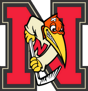 File:Newmarket Hurricanes.png
