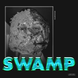 <span class="mw-page-title-main">Swamp (Brockhampton song)</span> 2017 single by Brockhampton