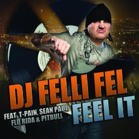 <span class="mw-page-title-main">Feel It (DJ Felli Fel song)</span> 2009 single by DJ Felli Fel featuring T-Pain, Sean Paul, Flo Rida and Pitbull