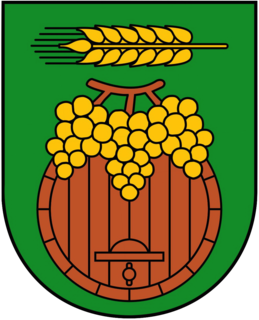 File:Kneževi Vinogradi coat of arms.png