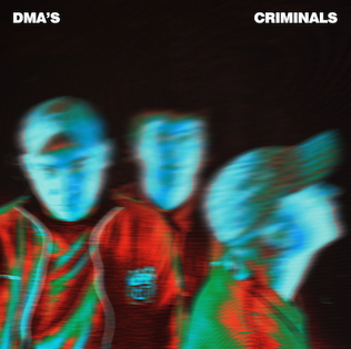 <span class="mw-page-title-main">Criminals (DMA's song)</span> 2020 single by Australian rock band DMAs