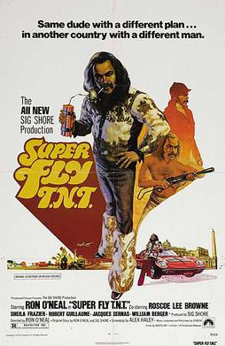 <i>Super Fly T.N.T.</i> 1973 film by Ron ONeal