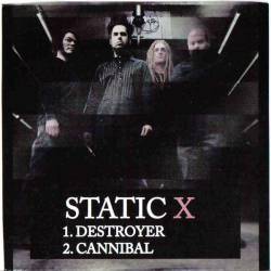 <span class="mw-page-title-main">Destroyer (Static-X song)</span> 2007 single by Static-X